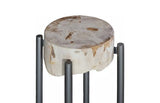 Phillips Collection Petrified Slice Round Base Large Side Table