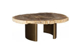 Phillips Collection Tero Petrified , Brass Legs Brown Coffee Table