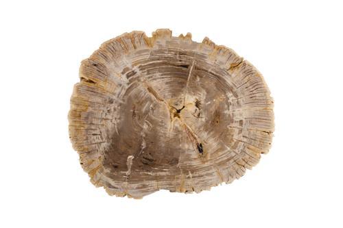 Phillips Collection Tero Petrified , Brass Legs Brown Coffee Table