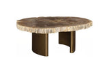 Phillips Collection Tero Petrified , Brass Legs Brown Coffee Table