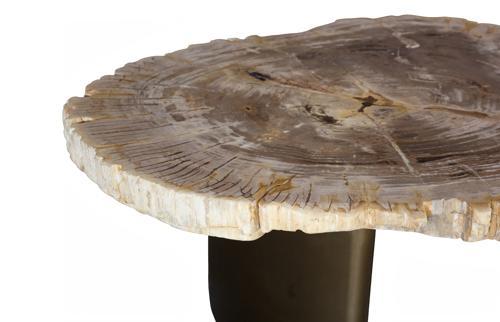 Phillips Collection Tero Petrified , Brass Legs Brown Coffee Table