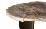 Phillips Collection Tero Petrified , Brass Legs Brown Coffee Table