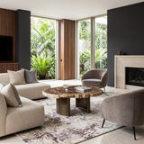 Phillips Collection Tero Petrified , Brass Legs Brown Coffee Table