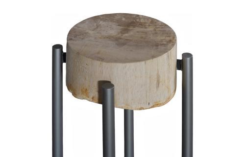 Phillips Collection Petrified Slice Round Base Small Side Table