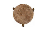 Phillips Collection Petrified Slice Trident Base Large Side Table