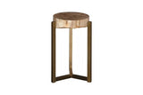 Phillips Collection Petrified Slice Trident Base Large Side Table