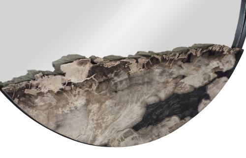 Phillips Collection Petrified Verge Large Mirror