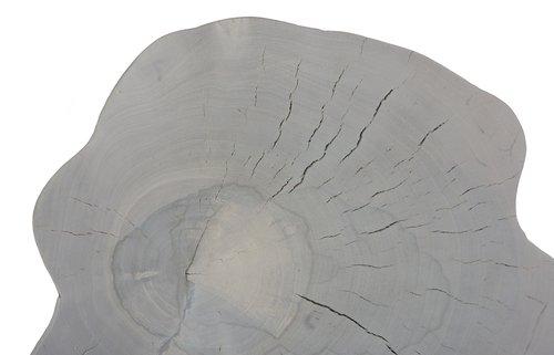 Phillips Collection Arruga Wood Wall Decor Bleached Wall Art