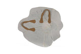 Phillips Collection Arruga Wood Wall Decor Bleached Wall Art