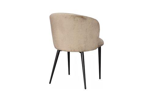 Phillips Collection Camel Dining , Set Of 2 Velvet Dark Beige & Lush Beige Matte Black Metal Frame Chair