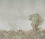 Schumacher Otherland 4 Panel Set Mist Wallpaper