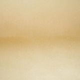 Schumacher X Backdrop The Penthouse Champagne Wallpaper