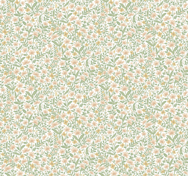 Rifle Paper Co. Sylvie Blush Wallpaper