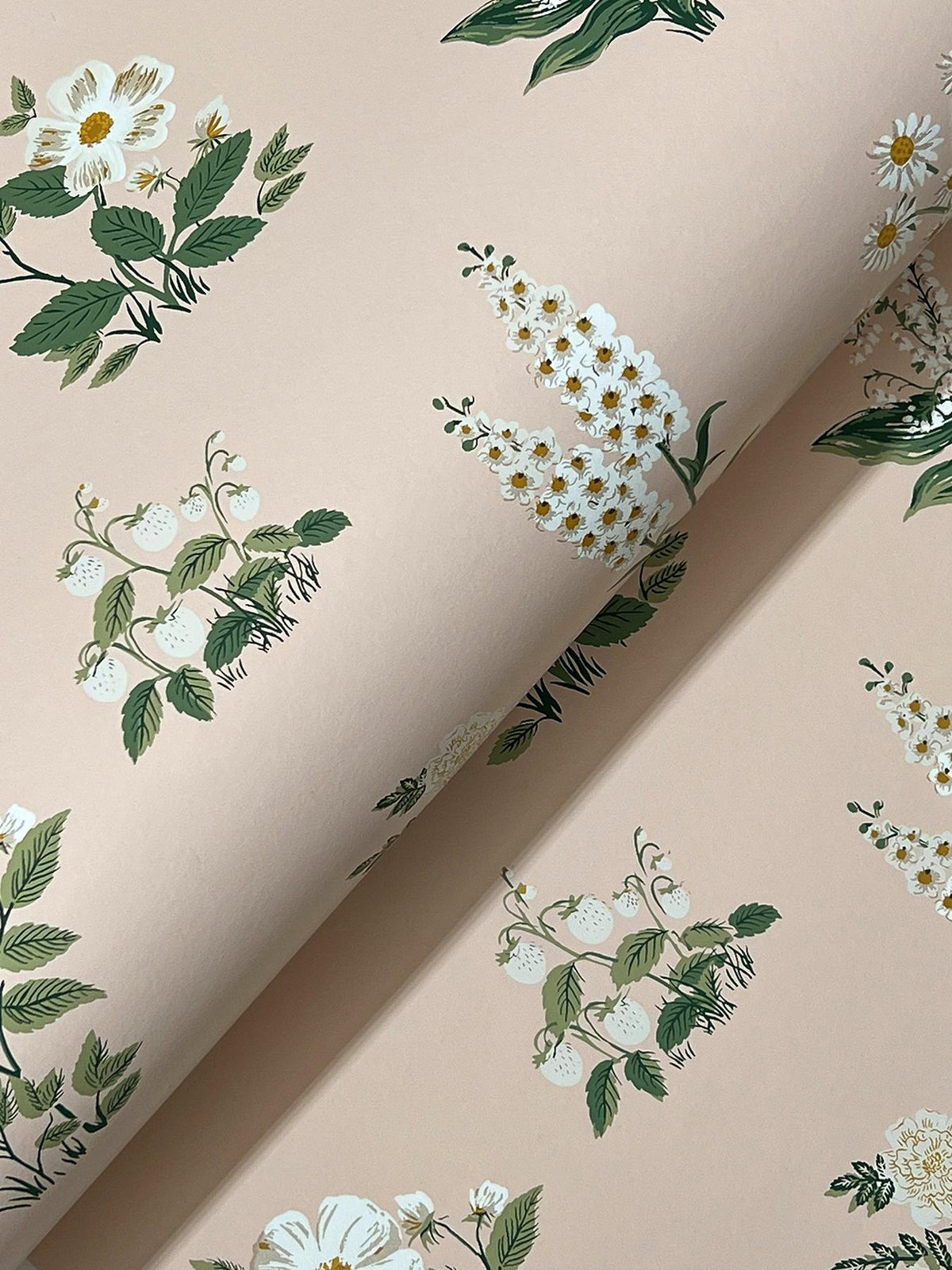 Rifle Paper Co. Botanical Blush Wallpaper