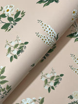 Rifle Paper Co. Botanical Blush Wallpaper
