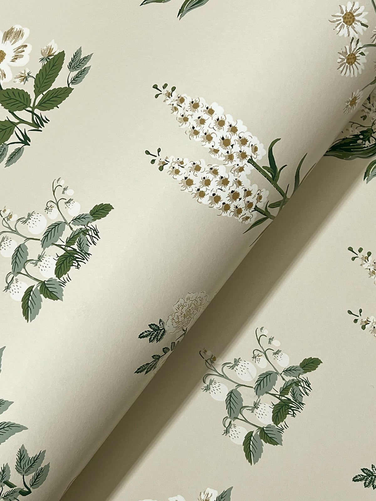 Rifle Paper Co. Botanical Cream Wallpaper