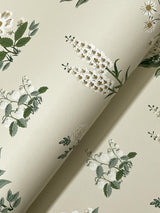 Rifle Paper Co. Botanical Cream Wallpaper