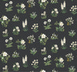 Rifle Paper Co. Botanical Black Wallpaper