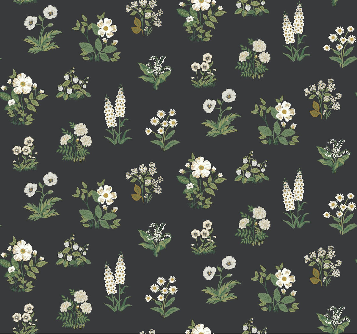 Rifle Paper Co. Botanical Black Wallpaper
