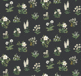 Rifle Paper Co. Botanical Black Wallpaper