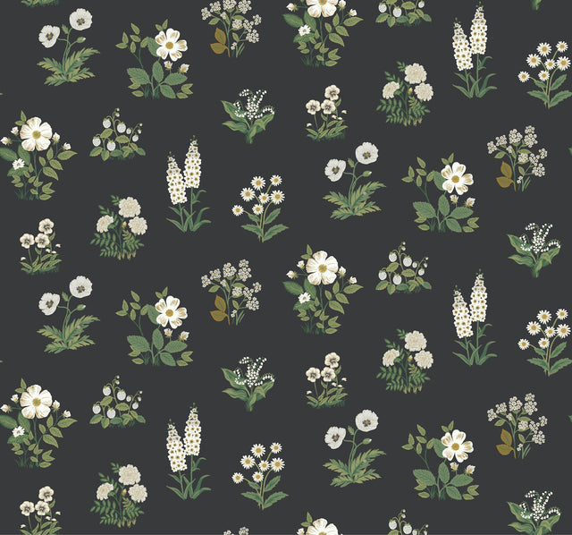 Rifle Paper Co. Botanical Black Wallpaper
