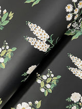 Rifle Paper Co. Botanical Black Wallpaper