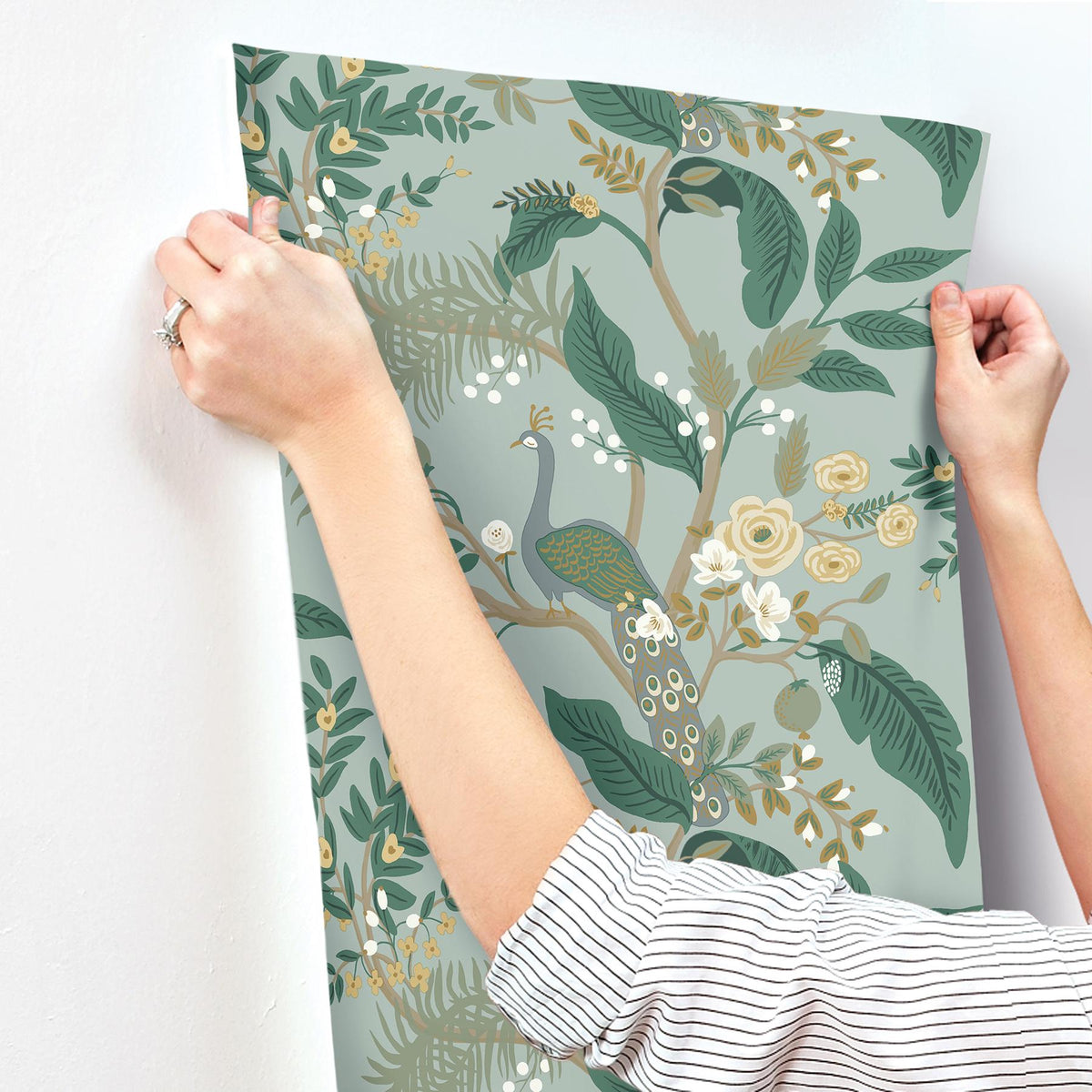 Rifle Paper Co. Peacock Slate Wallpaper
