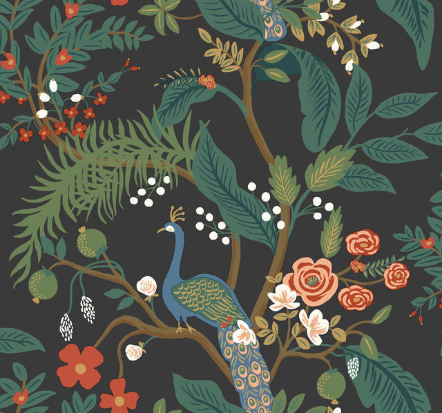 Rifle Paper Co. Peacock Charcoal Wallpaper