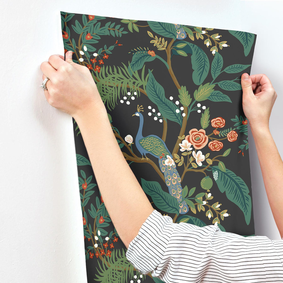 Rifle Paper Co. Peacock Charcoal Wallpaper