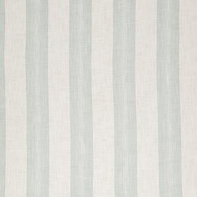Pindler BRAYDEN POOL Fabric