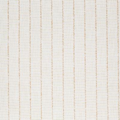 Pindler LUTHER SESAME Fabric
