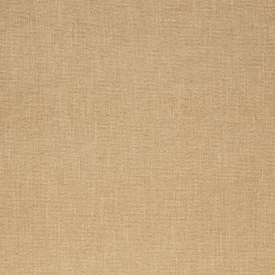 Pindler RODNEY CHAMPAGNE Fabric
