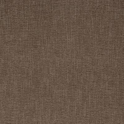 Pindler RODNEY TEDDY Fabric