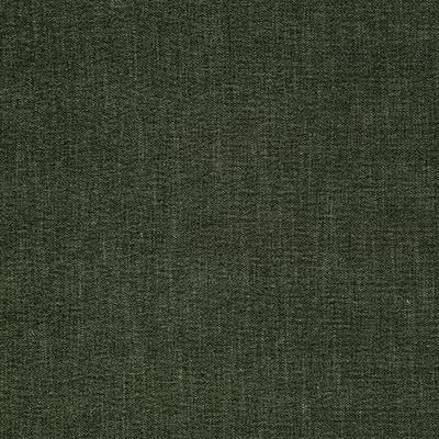 Pindler RODNEY IVY Fabric