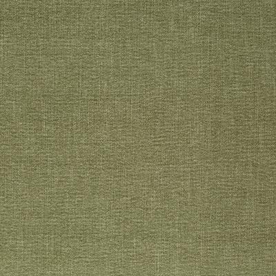 Pindler RODNEY WILLOW Fabric