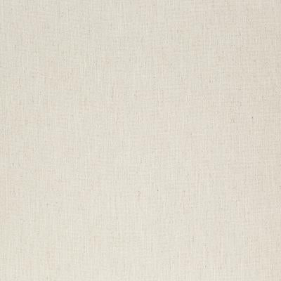Pindler RODNEY SNOW Fabric