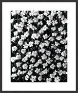 Surya Array of Floral ARFL-001 38"H x 32"W x 1"D Art