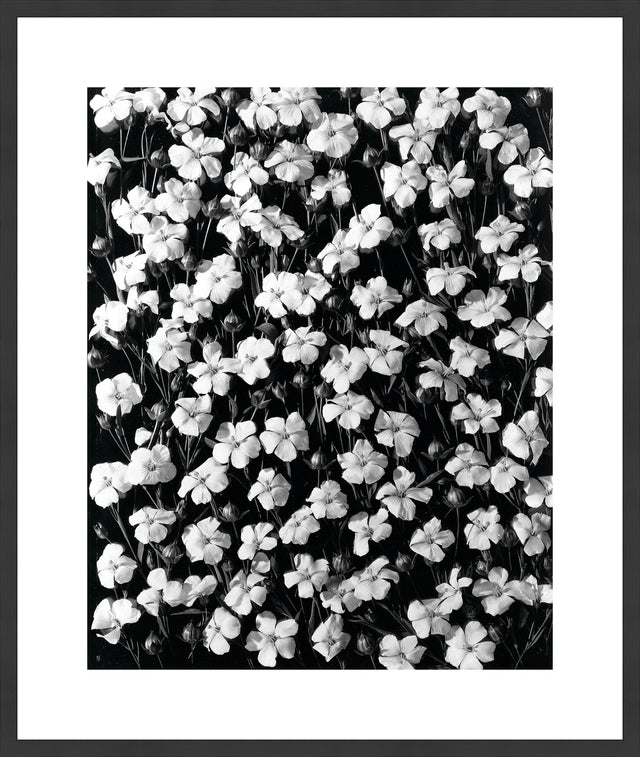 Surya Array of Floral ARFL-001 38"H x 32"W x 1"D Art