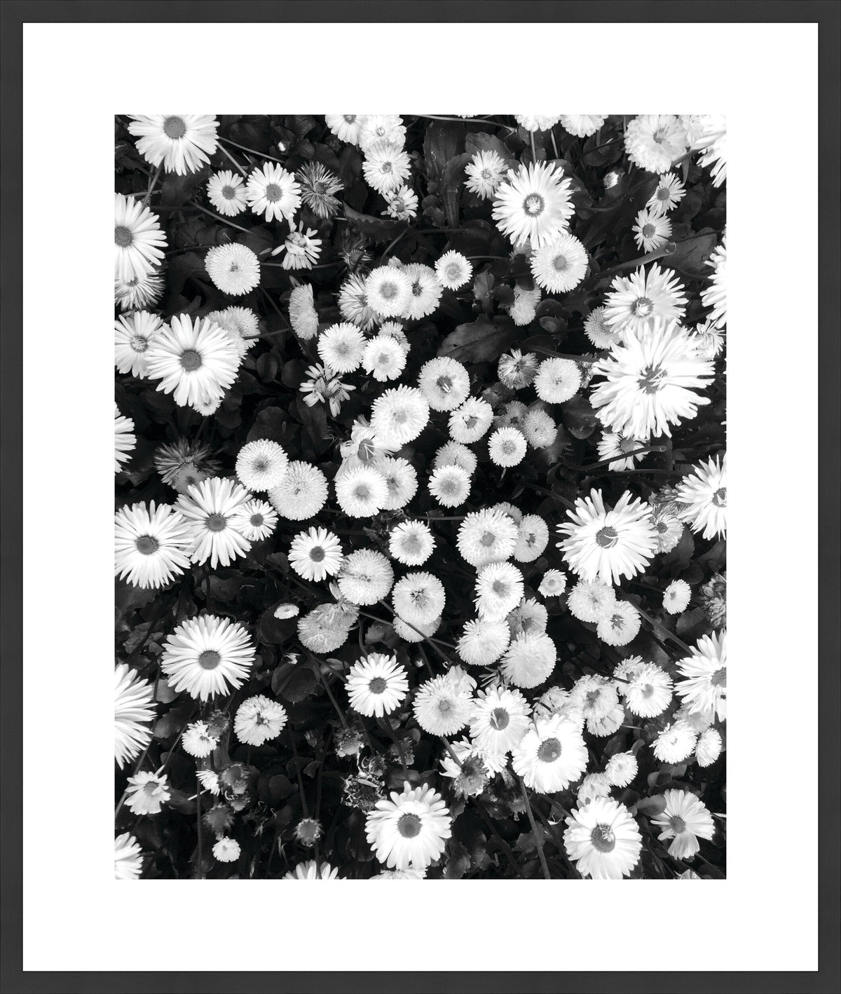 Surya Array of Floral ARFL-002 33"H x 28"W x 1"D Art