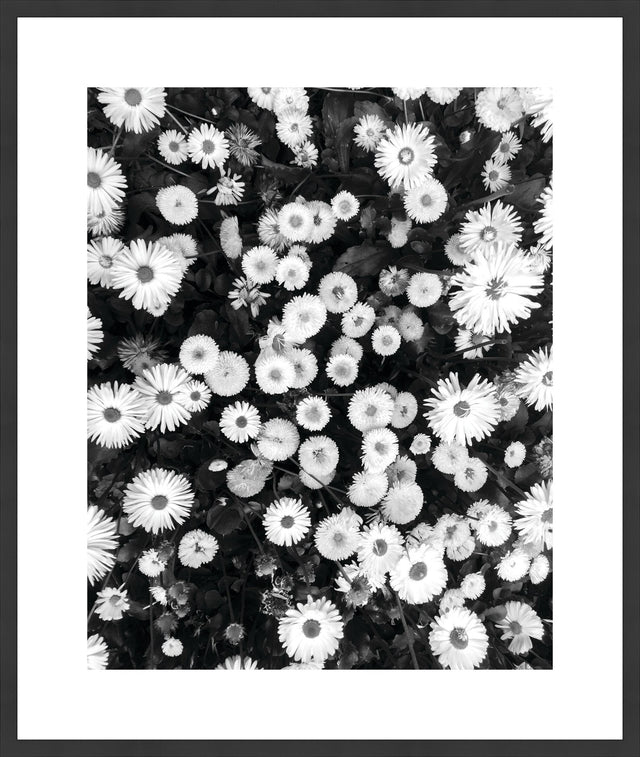 Surya Array of Floral ARFL-002 33"H x 28"W x 1"D Art