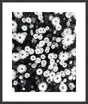 Surya Array of Floral ARFL-002 33"H x 28"W x 1"D Art