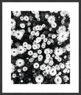 Surya Array of Floral ARFL-002 38"H x 32"W x 1"D Art