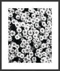 Surya Array of Floral ARFL-003 23"H x 20"W x 1"D Art