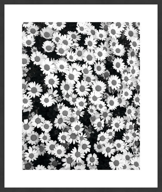 Surya Array of Floral ARFL-003 28"H x 24"W x 1"D Art