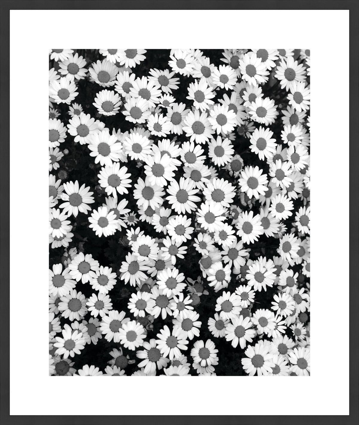 Surya Array of Floral ARFL-003 33"H x 28"W x 1"D Art