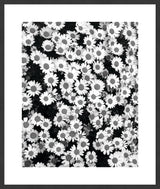 Surya Array of Floral ARFL-003 33"H x 28"W x 1"D Art