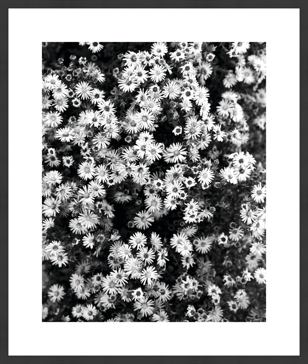 Surya Array of Floral ARFL-004 18"H x 16"W x 1"D Art
