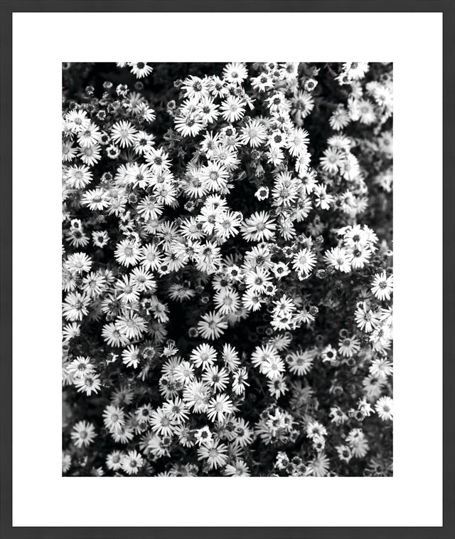 Surya Array of Floral ARFL-004 33"H x 28"W x 1"D Art