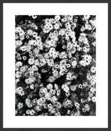 Surya Array of Floral ARFL-004 38"H x 32"W x 1"D Art