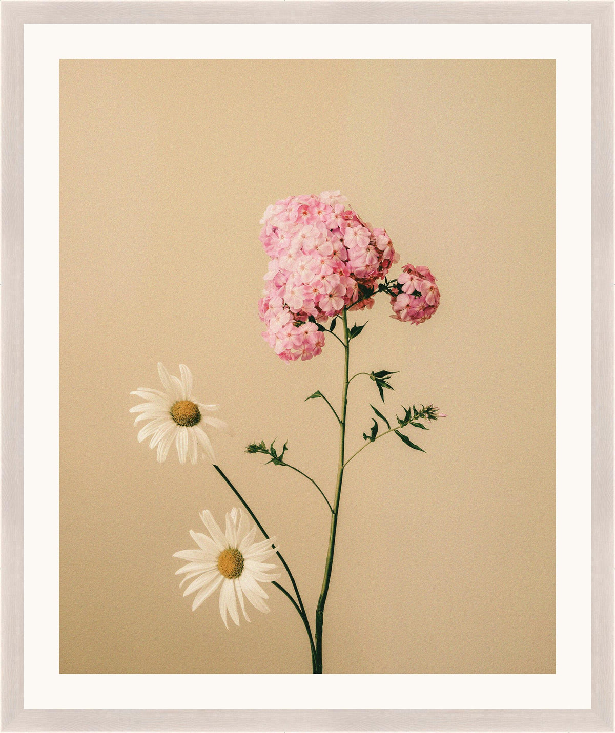 Surya Atonement Petals ATON-001 16"H x 14"W x 1"D Art